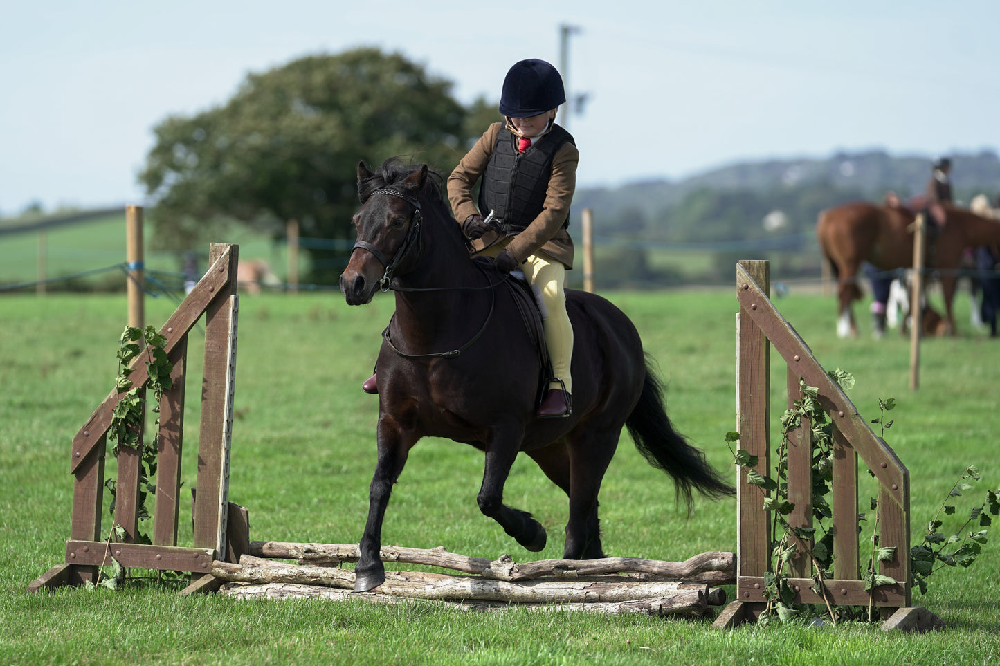 lanlivery show jumping rings part 1