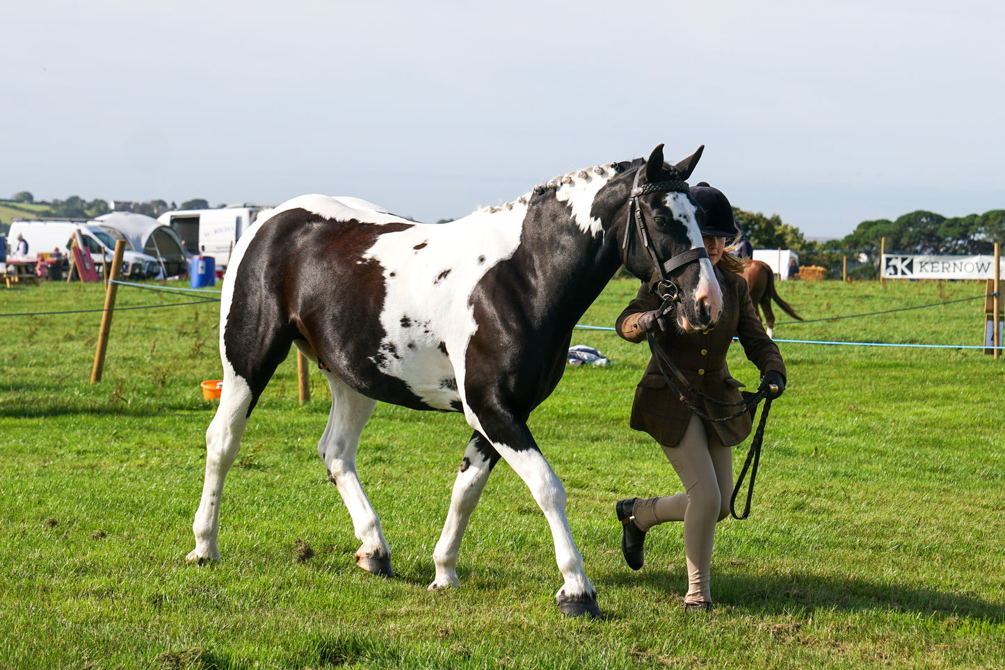 lanlivery show in hand part 1
