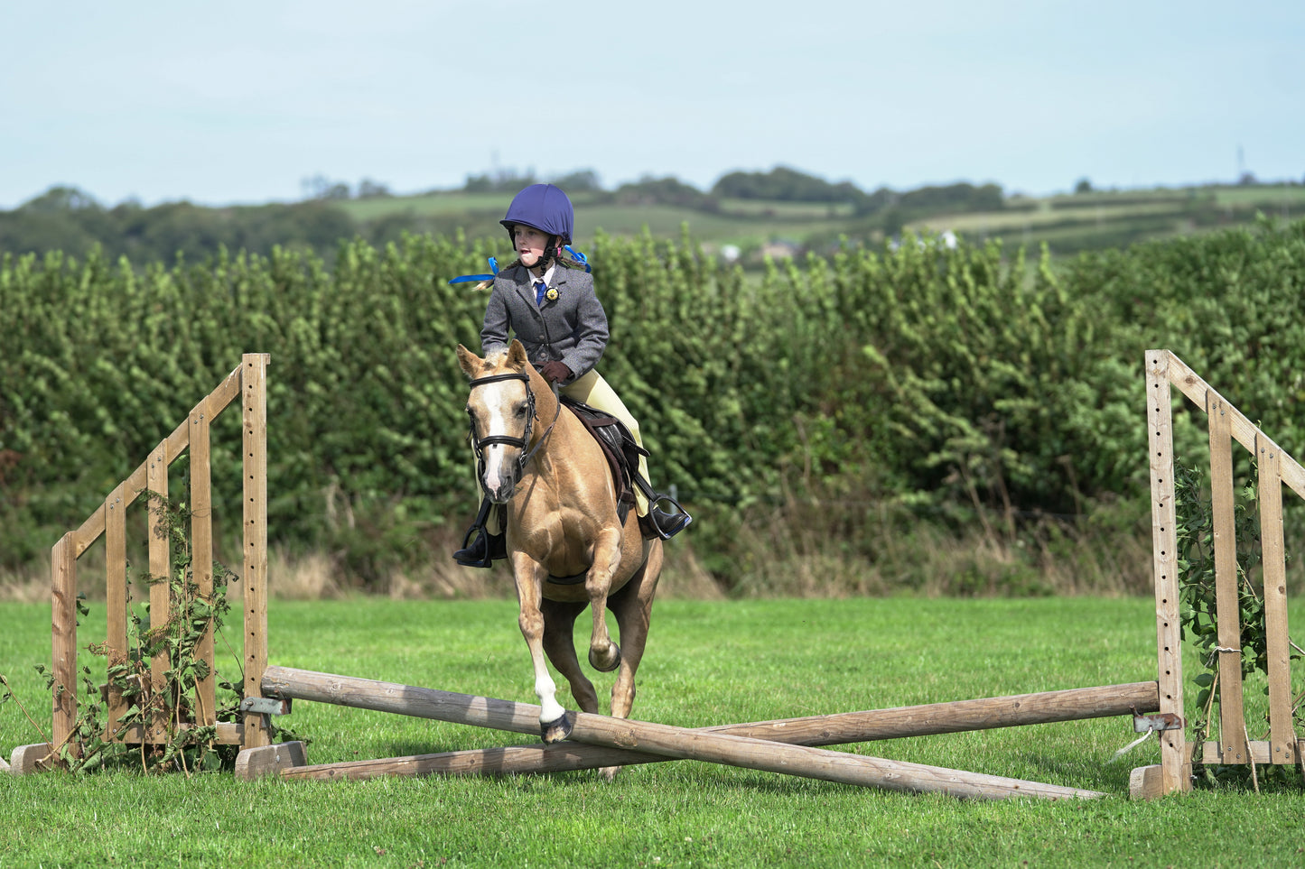 lanlivery show jumping rings part 1