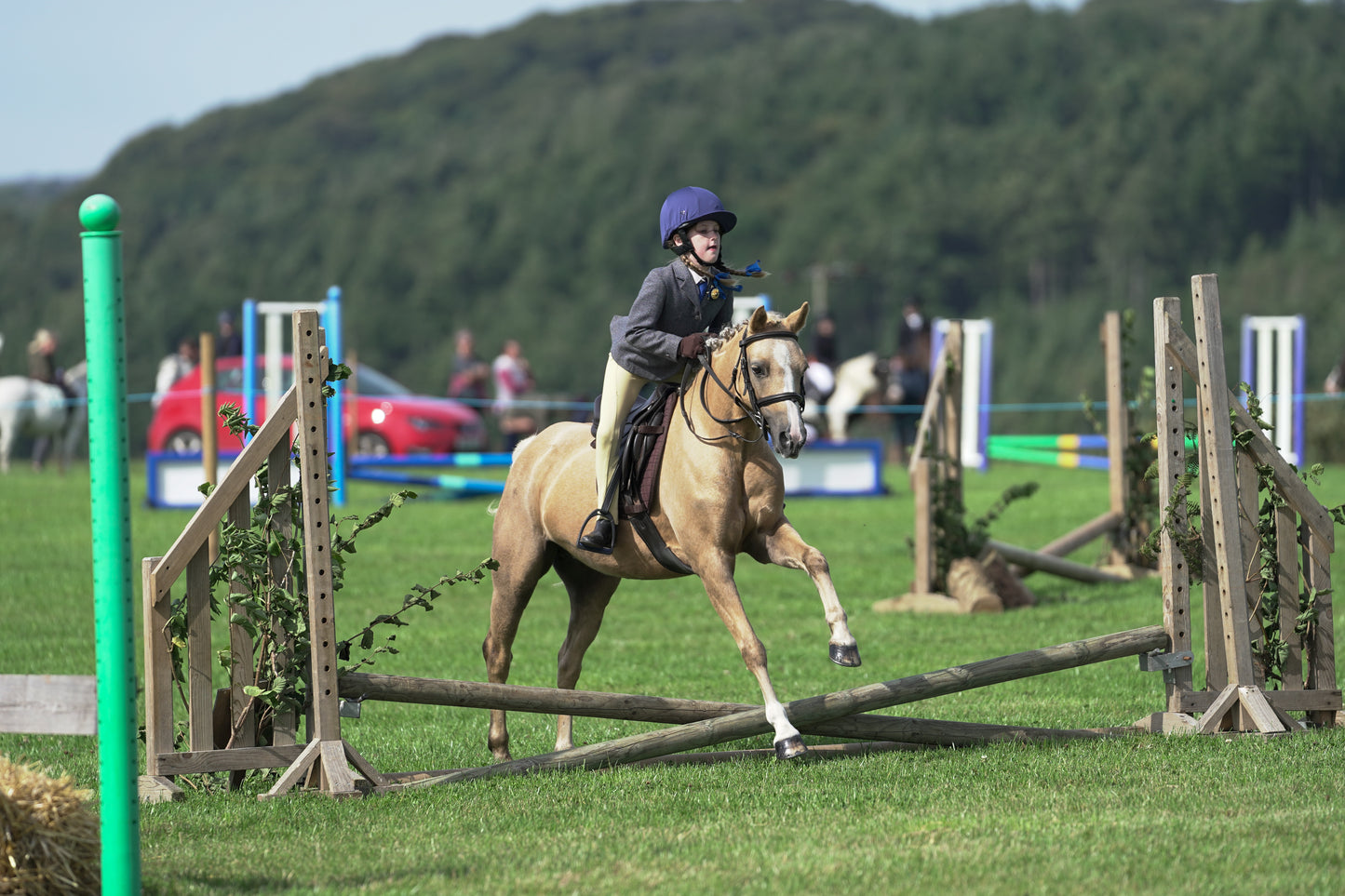 lanlivery show jumping rings part 1
