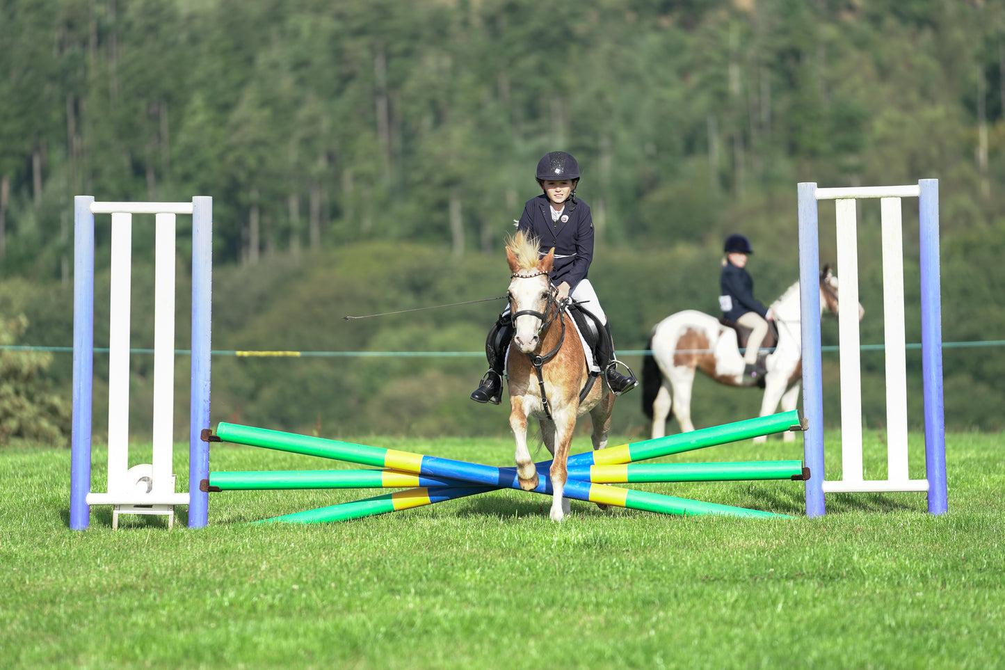 lanlivery show jumping rings part 1