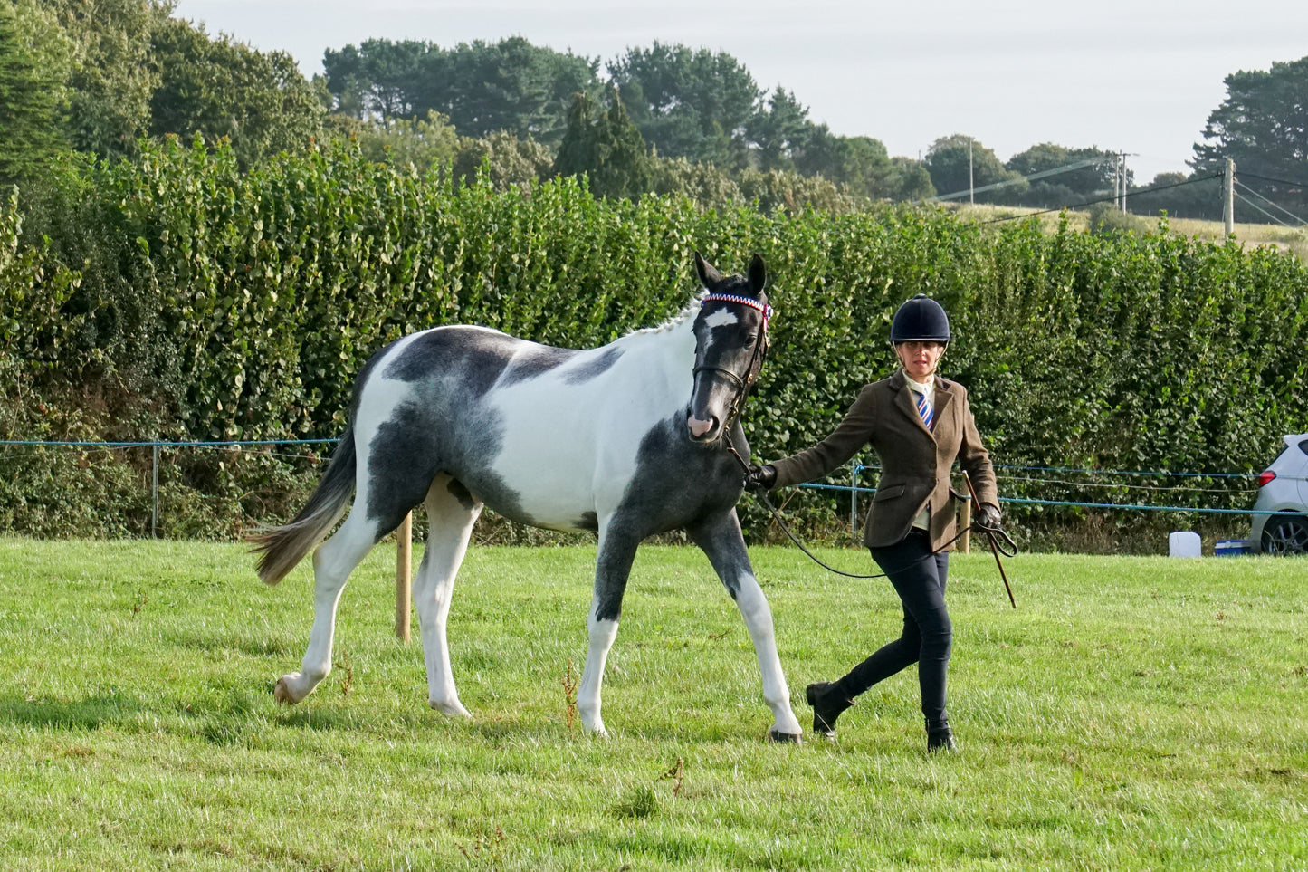 lanlivery show in hand part 1