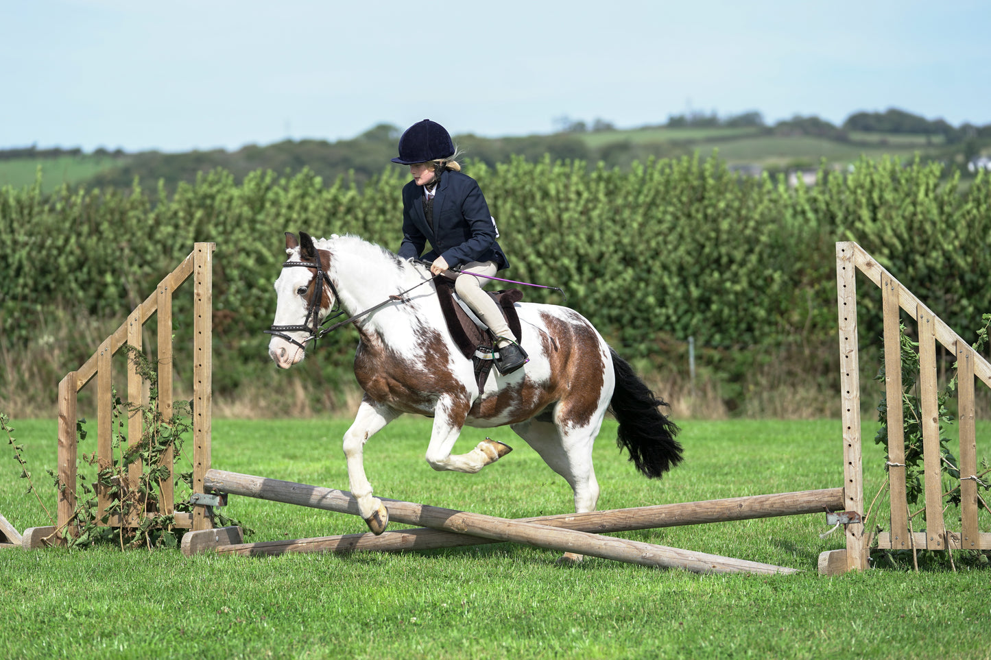 lanlivery show jumping rings part 1