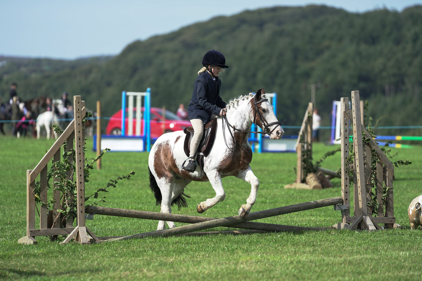 lanlivery show jumping rings part 1