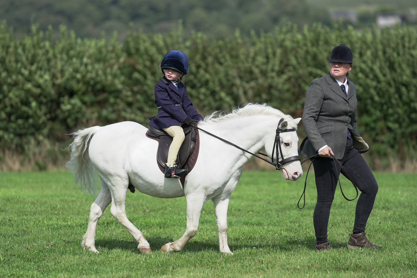 lanlivery show jumping rings part 1