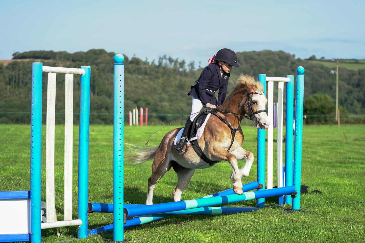 lanlivery show jumping rings part 1