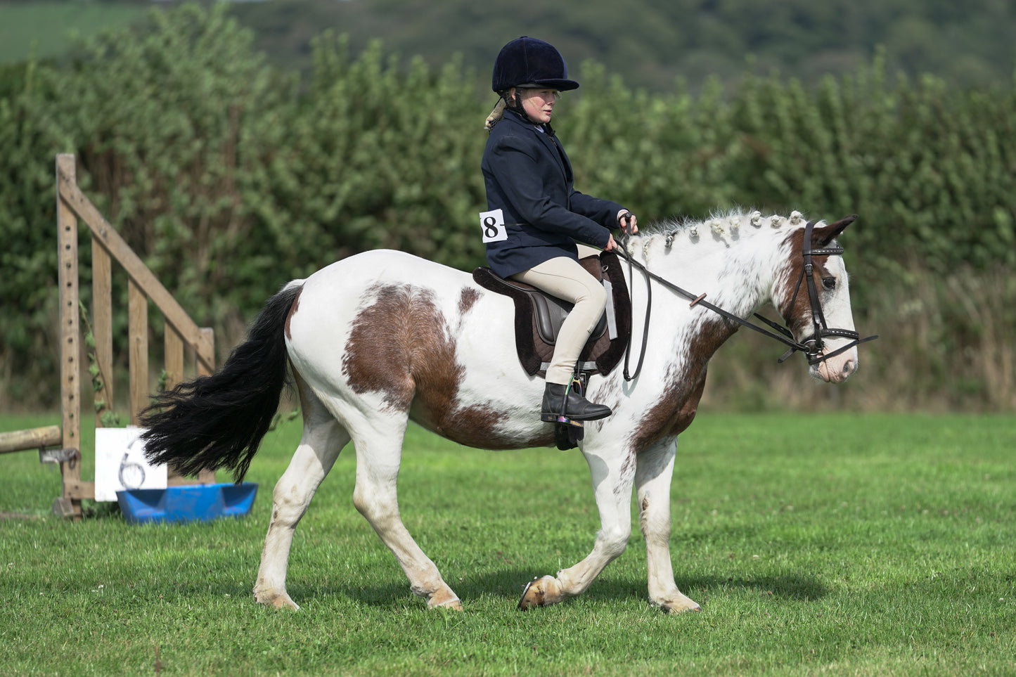 lanlivery show jumping rings part 1