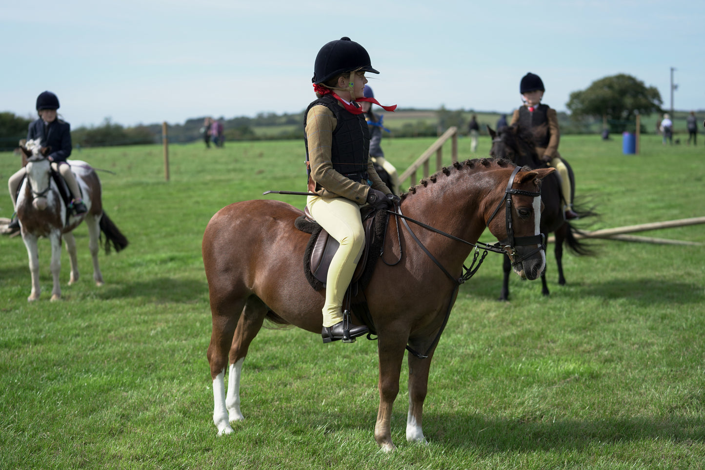 lanlivery show jumping rings part 1