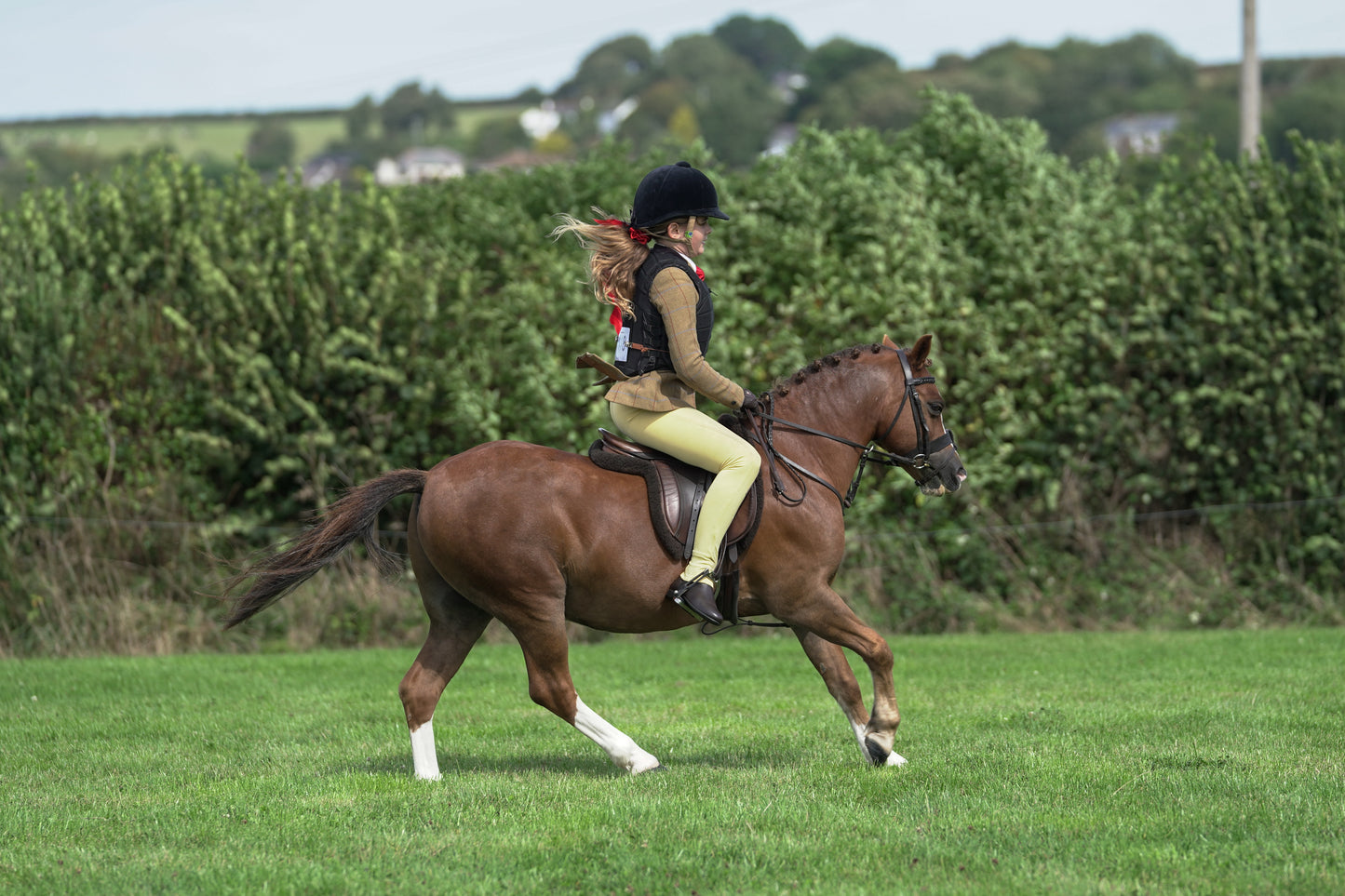 lanlivery show jumping rings part 1