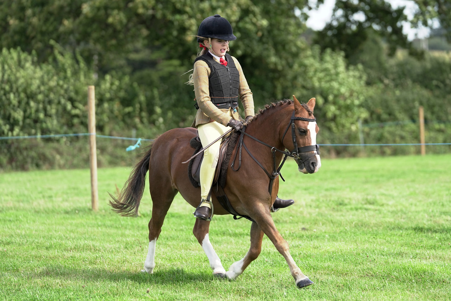 lanlivery show jumping rings part 1