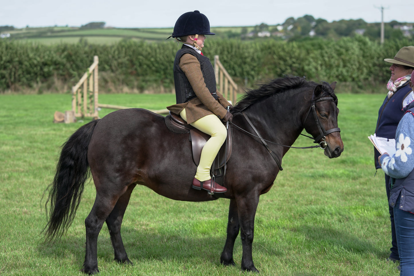 lanlivery show jumping rings part 1