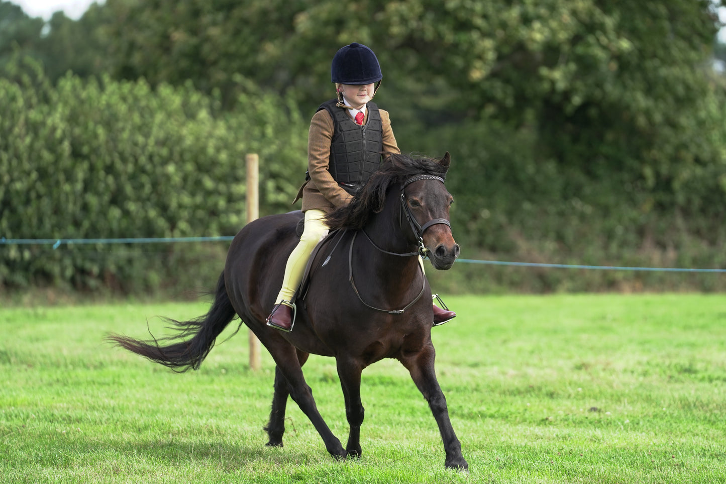lanlivery show jumping rings part 1