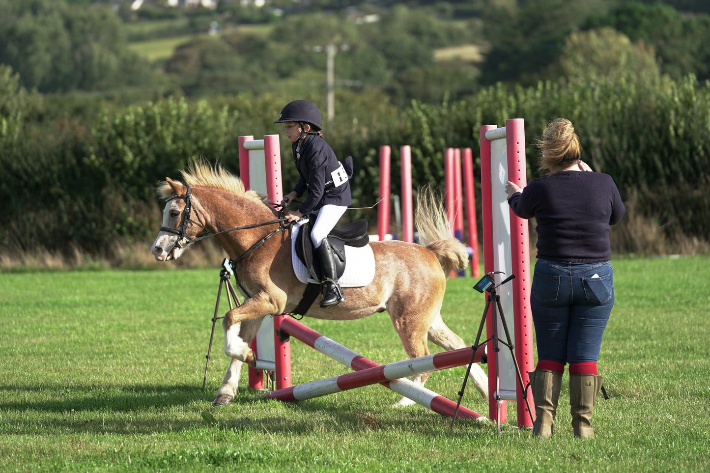 lanlivery show jumping rings part 1