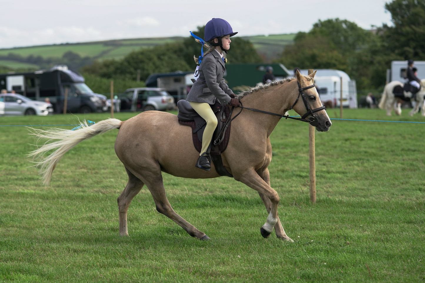lanlivery show jumping rings part 1