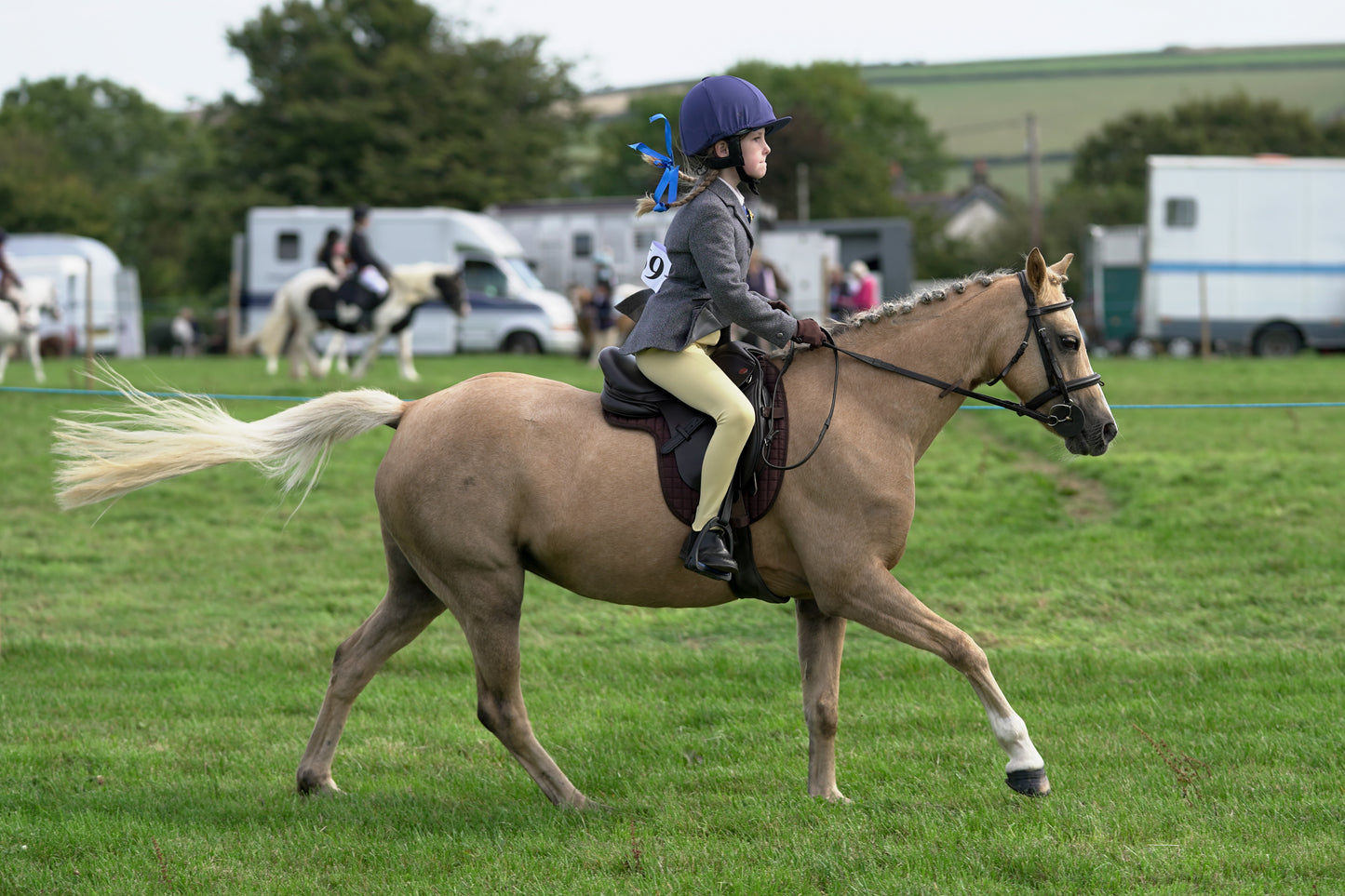 lanlivery show jumping rings part 1