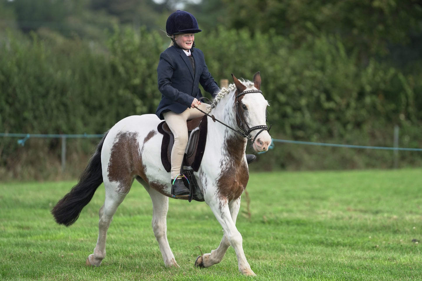 lanlivery show jumping rings part 1