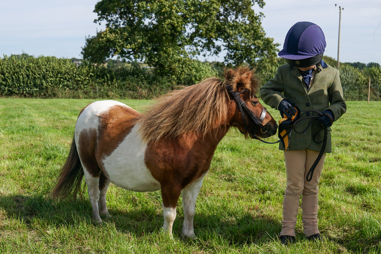 lanlivery show in hand part 1