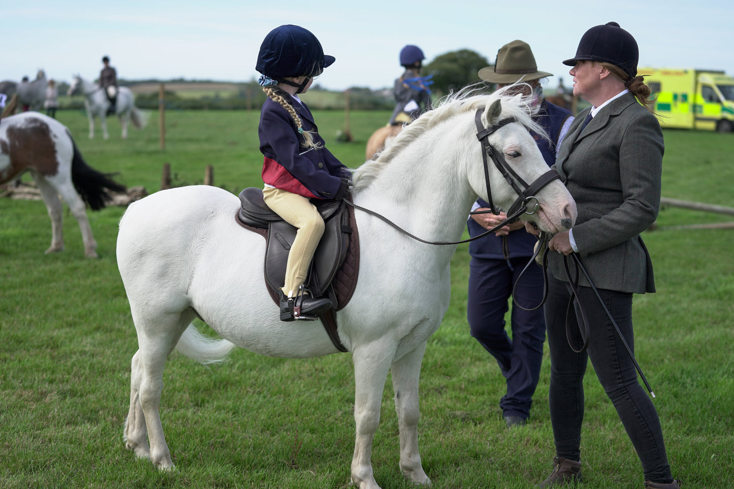 lanlivery show jumping rings part 1