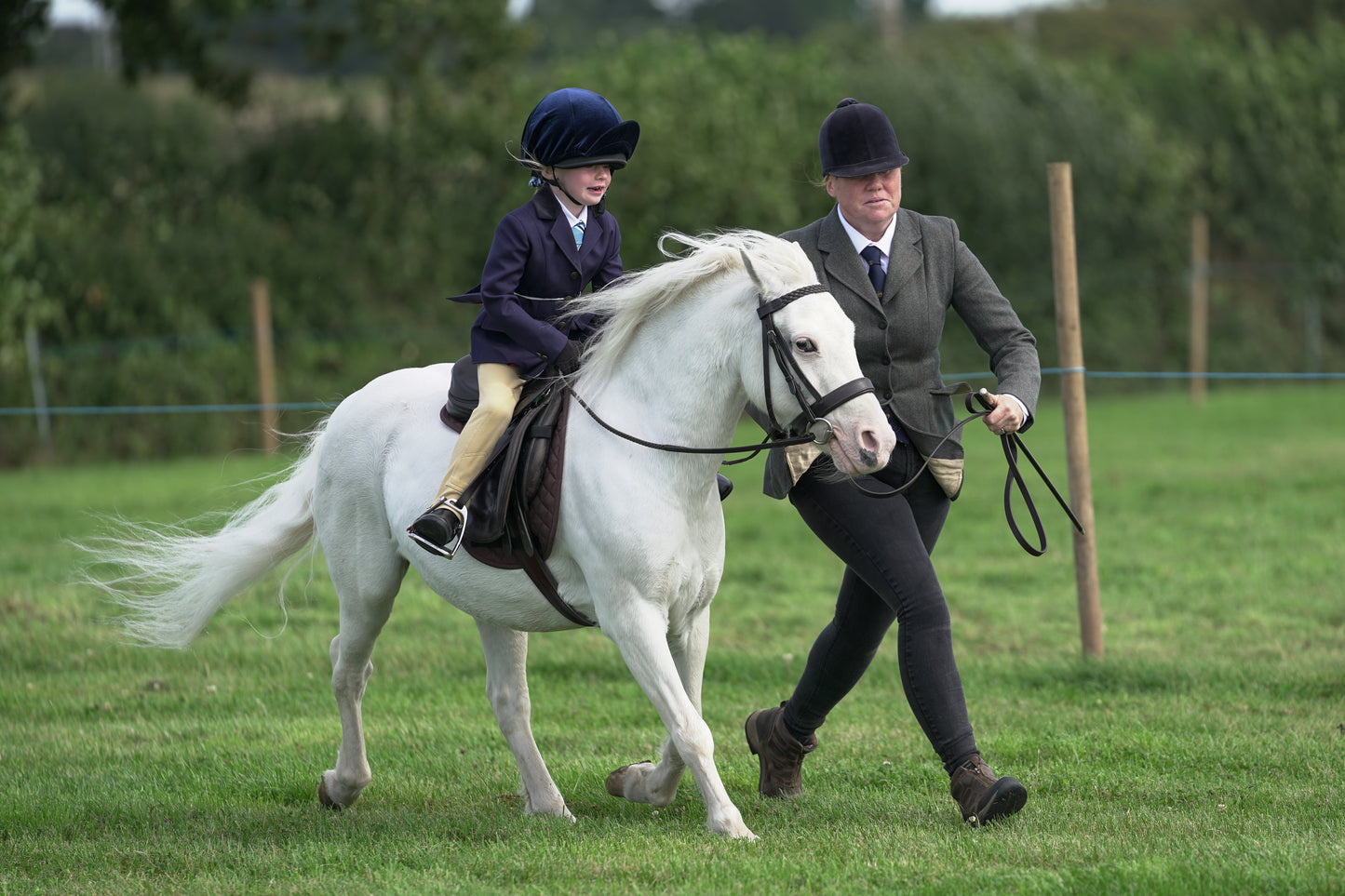 lanlivery show jumping rings part 1