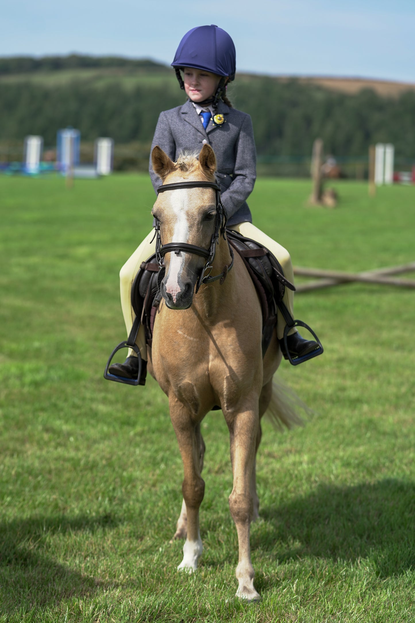 lanlivery show jumping rings part 1