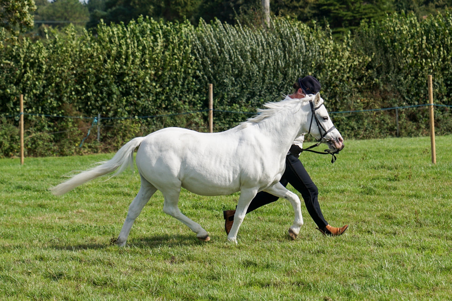 lanlivery show in hand part 1