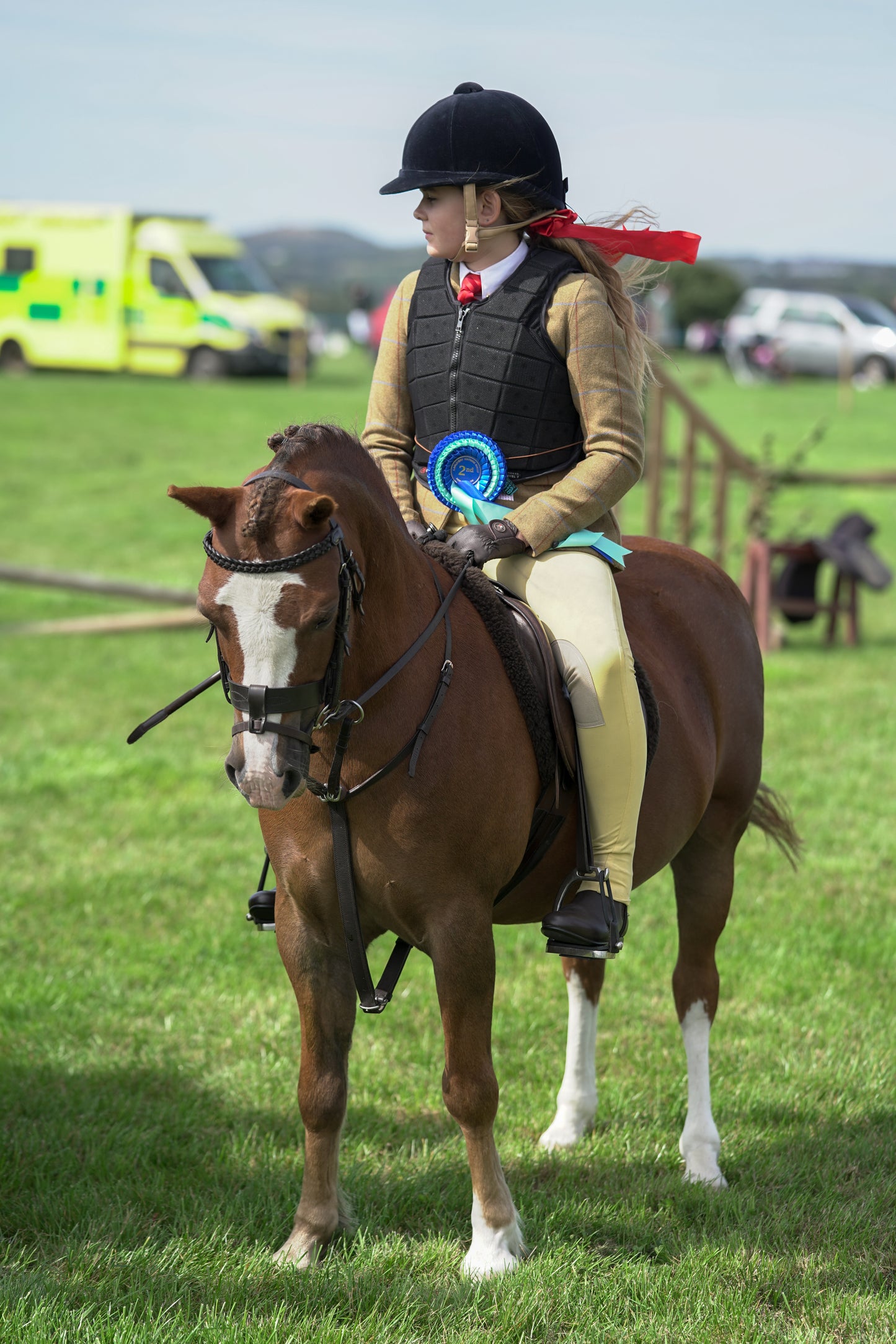 lanlivery show jumping rings part 1
