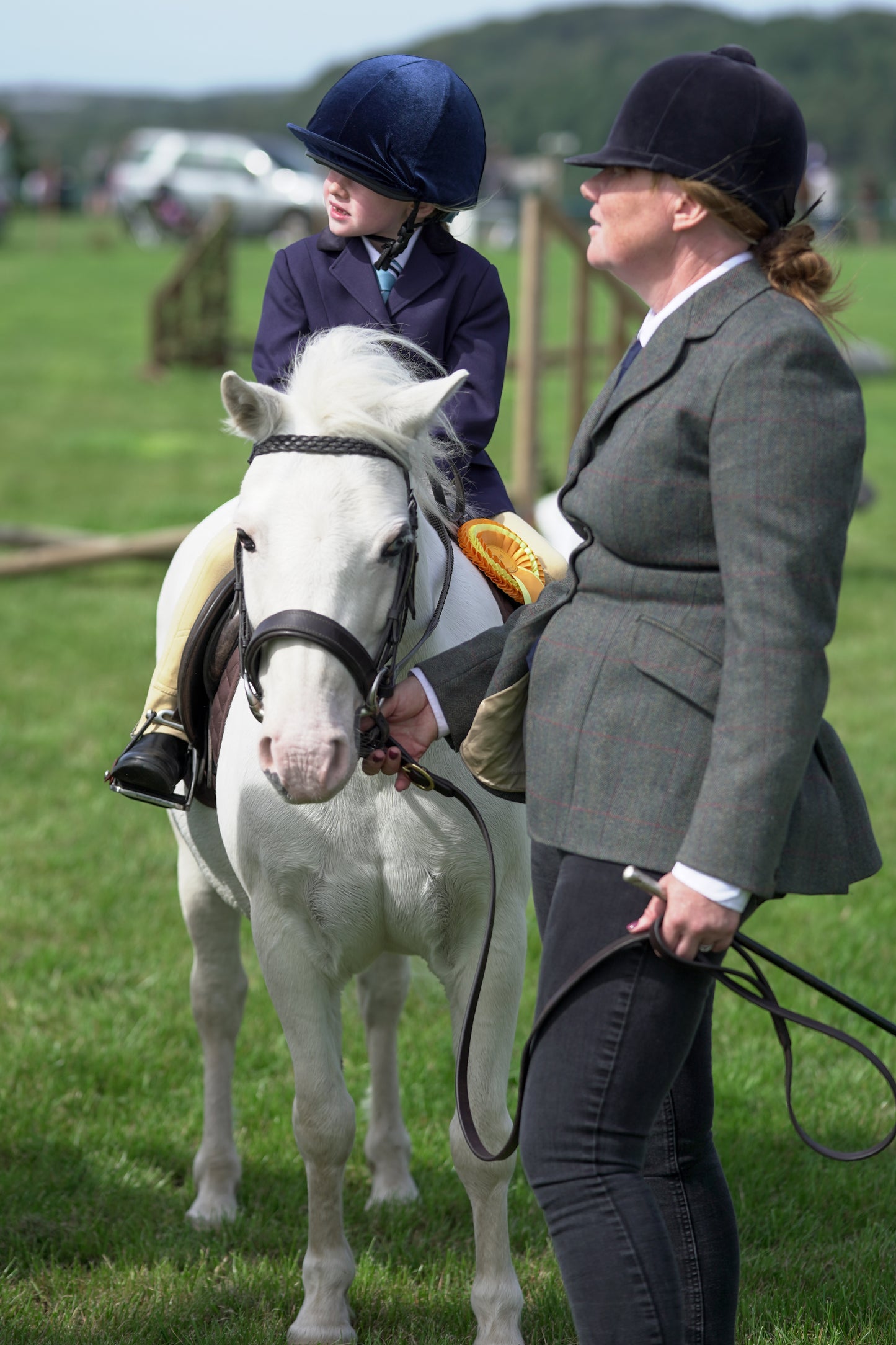 lanlivery show jumping rings part 1