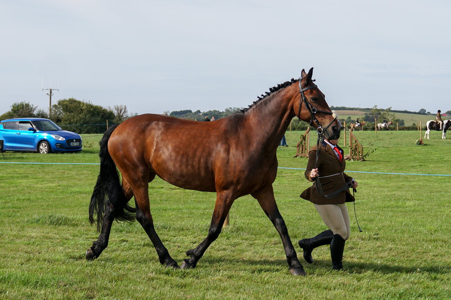 lanlivery show in hand part 1