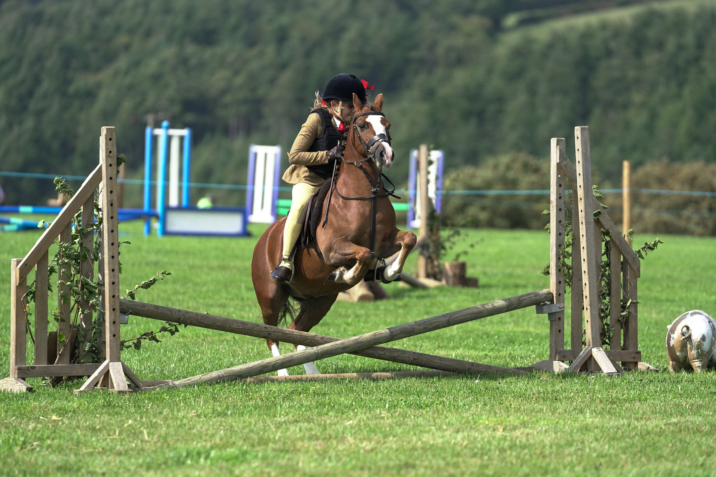 lanlivery show jumping rings part 1
