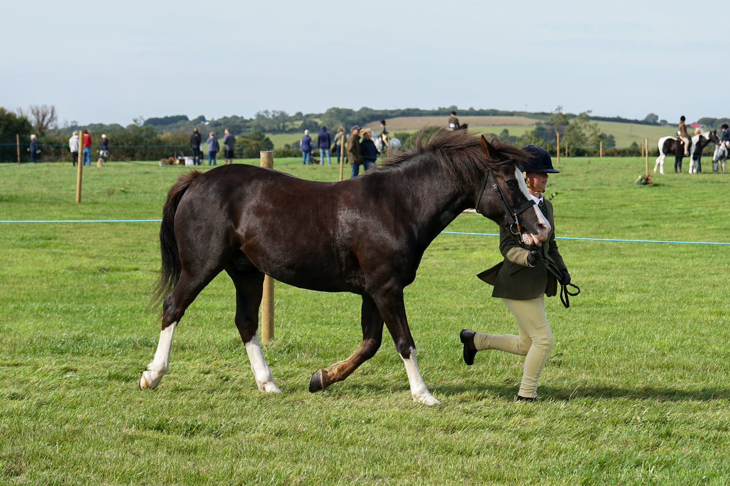 lanlivery show in hand part 1