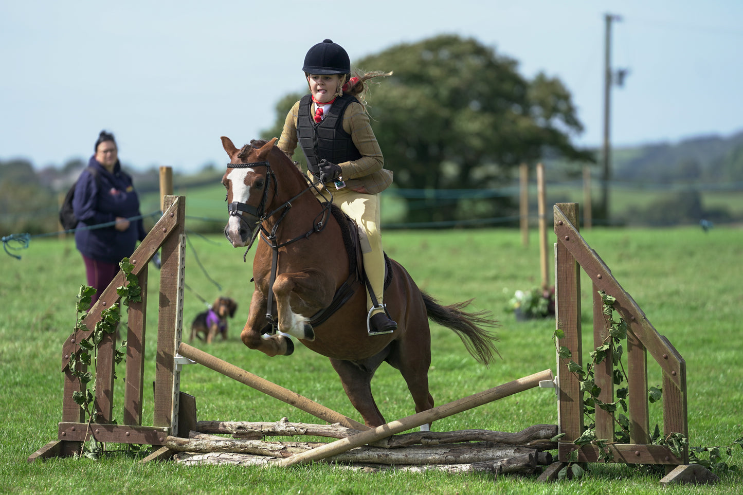 lanlivery show jumping rings part 1