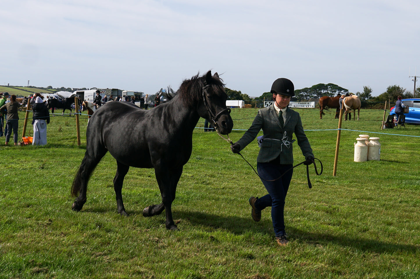 lanlivery show in hand part 1