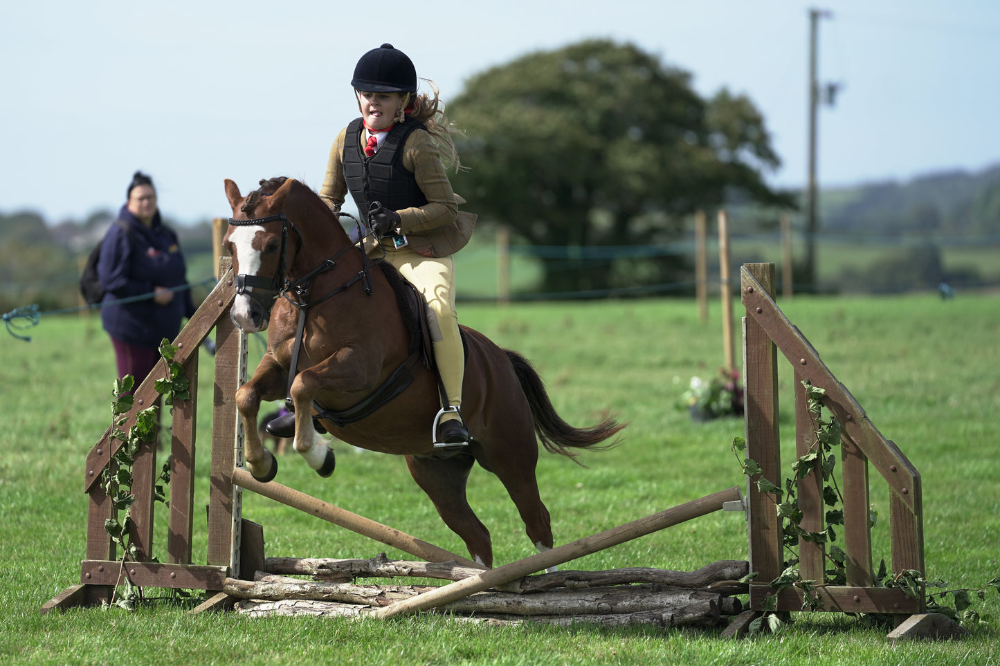 lanlivery show jumping rings part 1