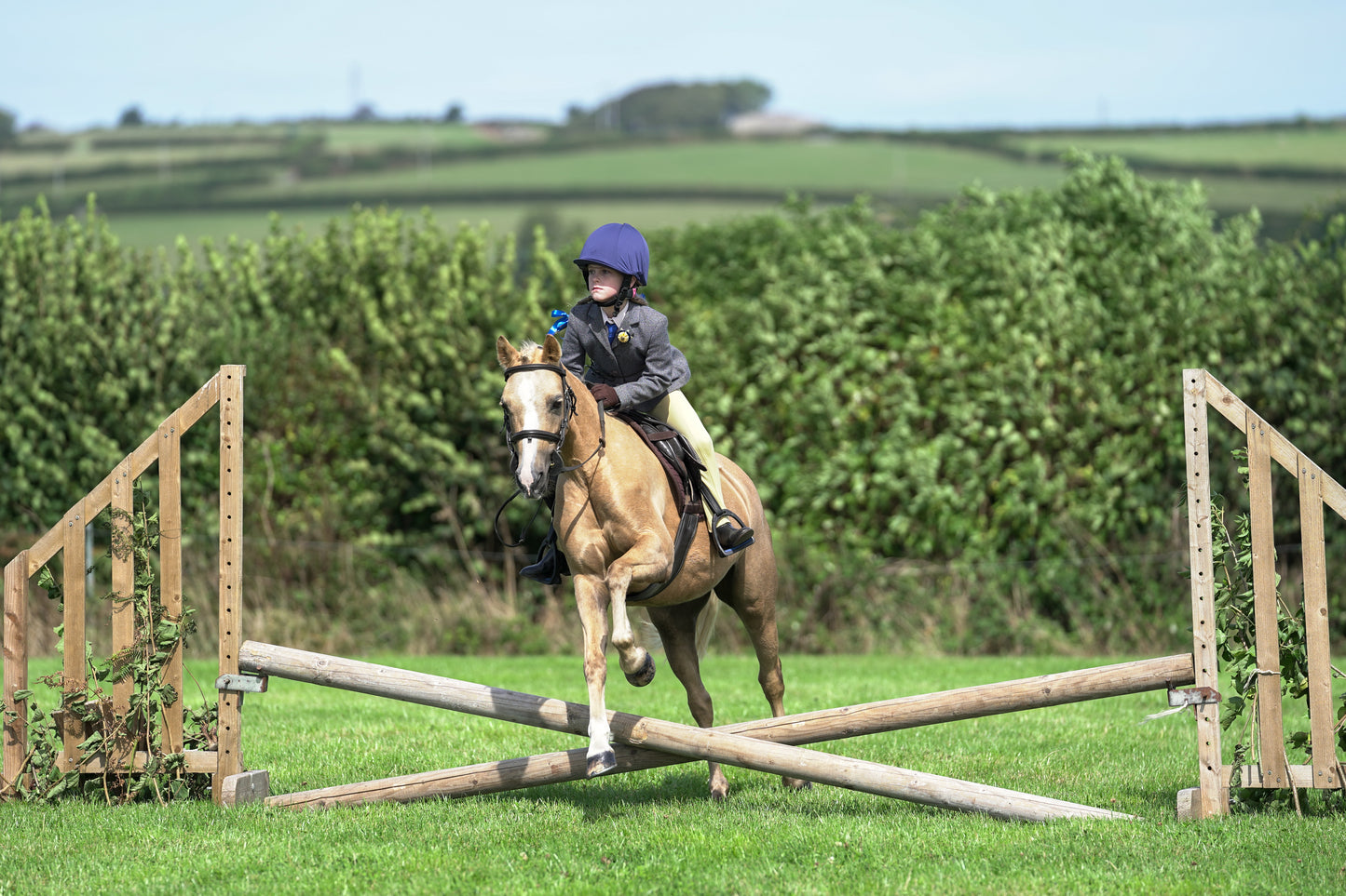 lanlivery show jumping rings part 1