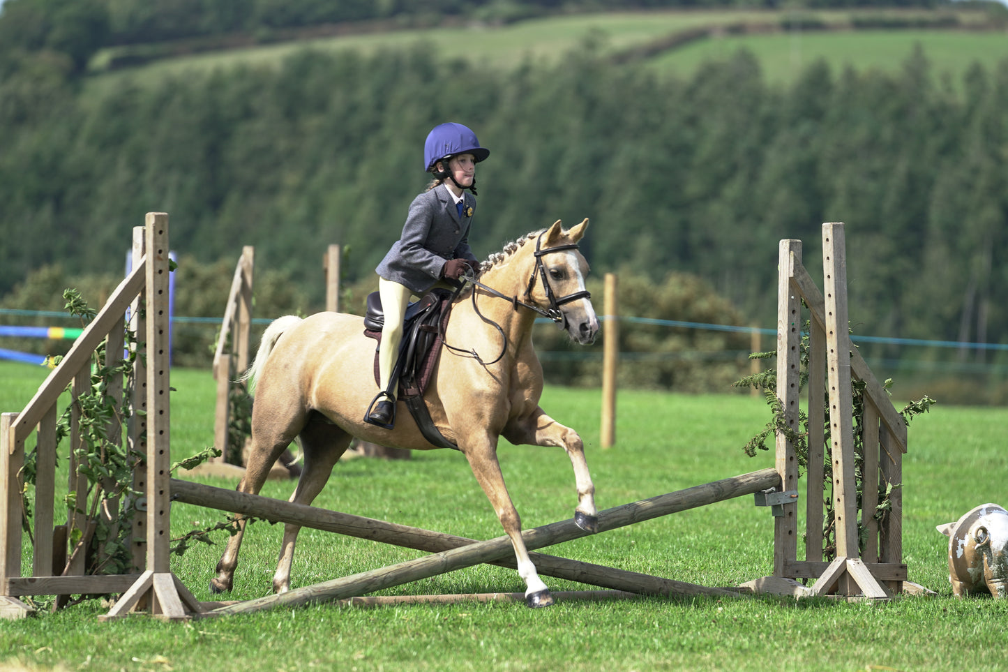 lanlivery show jumping rings part 1