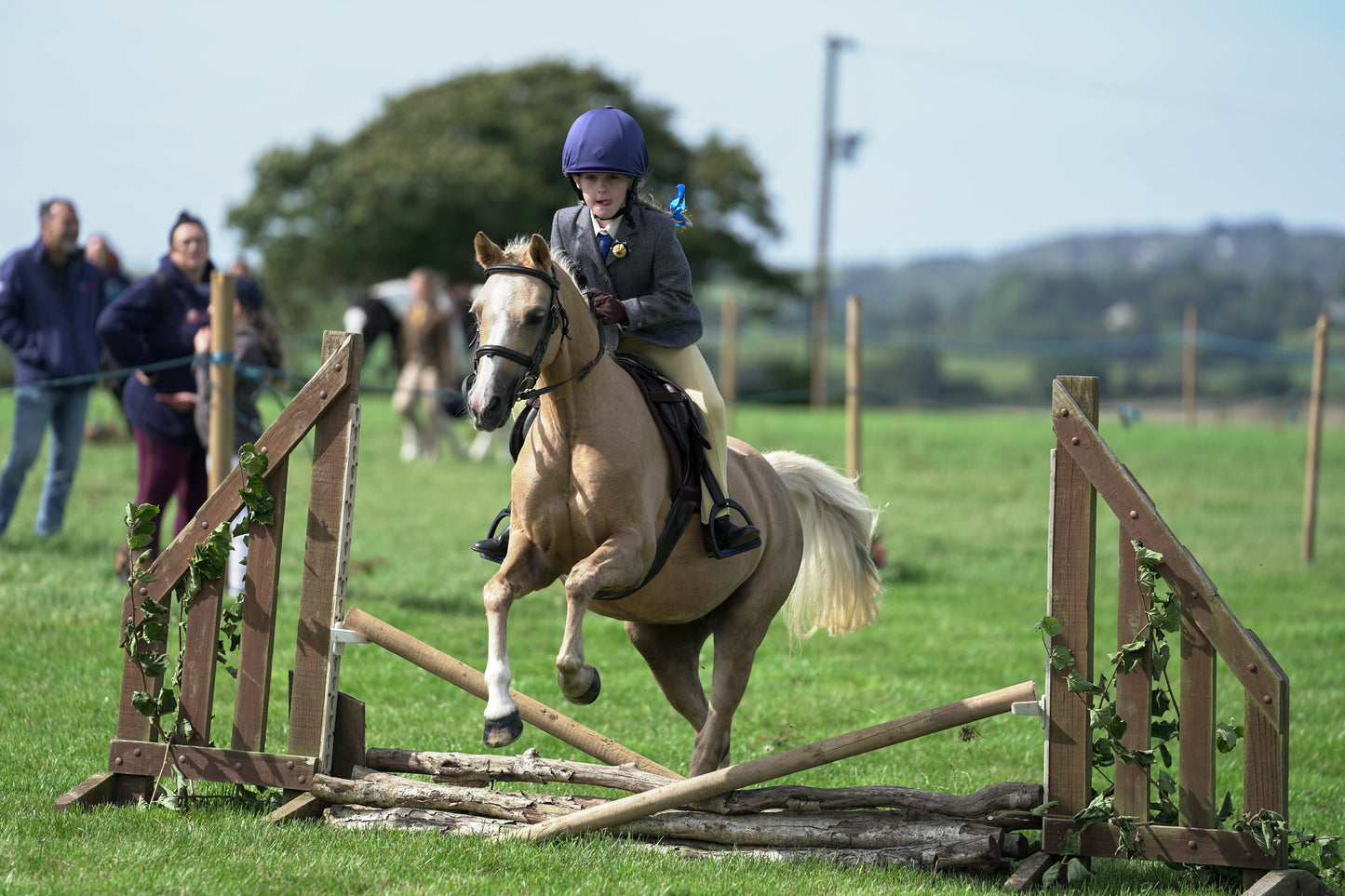 lanlivery show jumping rings part 1