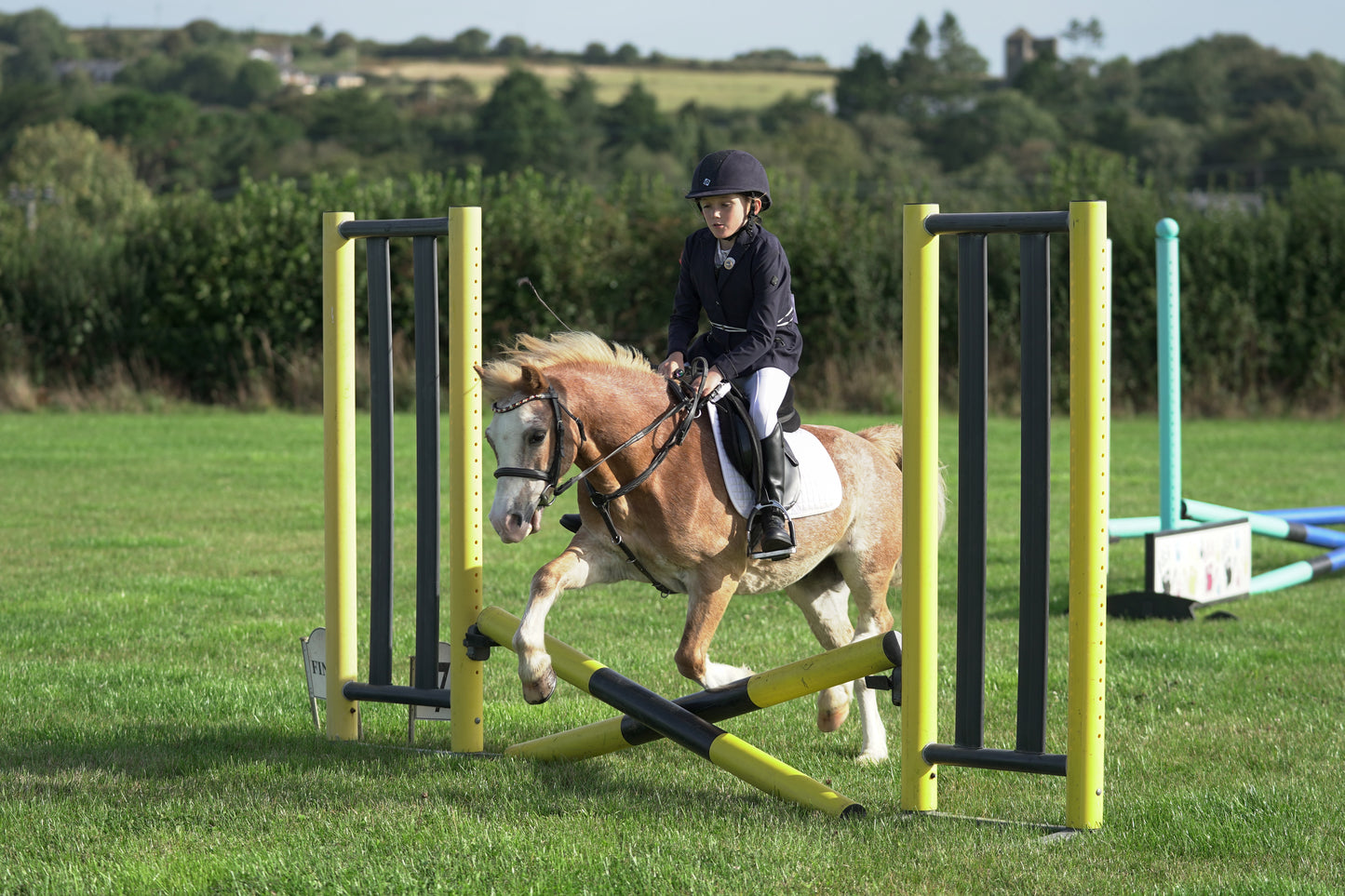 lanlivery show jumping rings part 1
